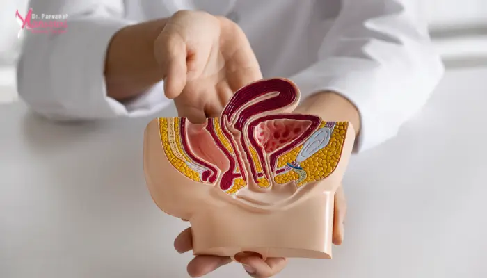 بواسیر داخلی