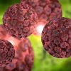 راهکارهای پیشگیری از hpv